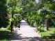 Parcul Cismigiu  - cazare Bucuresti